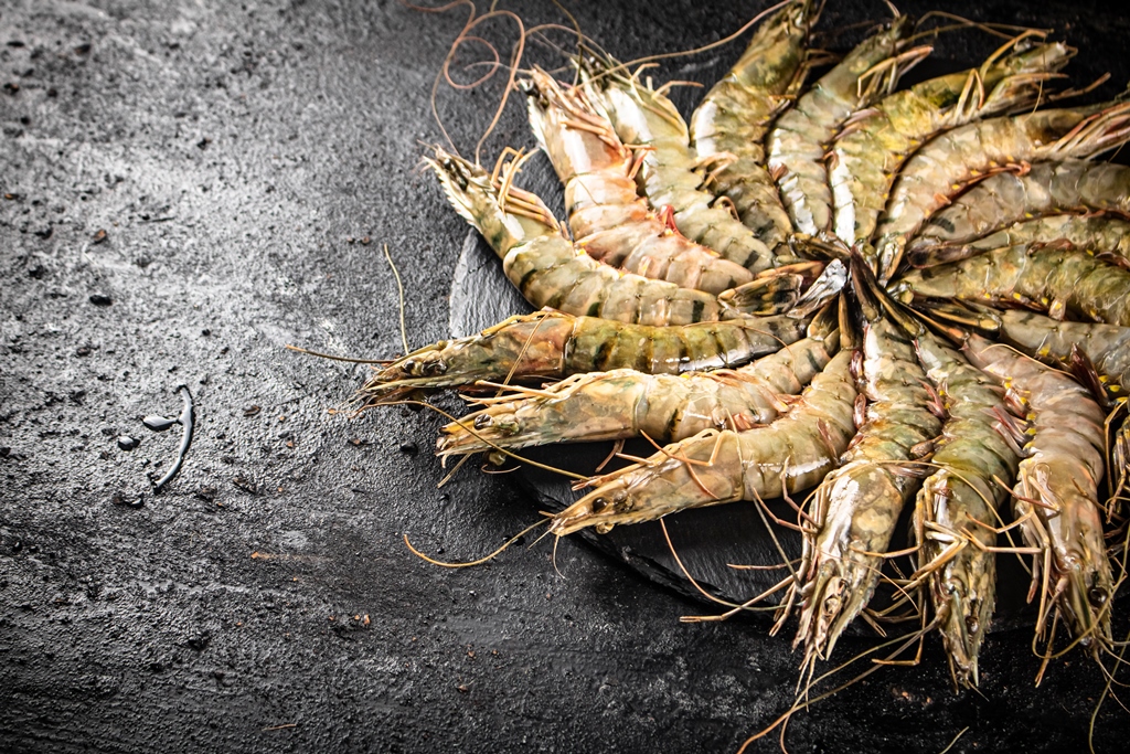 Fresh raw shrimp arranged in a circular pattern on a dark stone board, ready for cooking – Yummy Cooking Treats